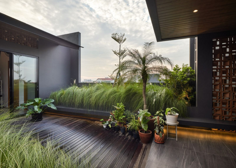 Green Roofs: Transform Your Boring Rooftop into an Eco-Friendly Oasis!