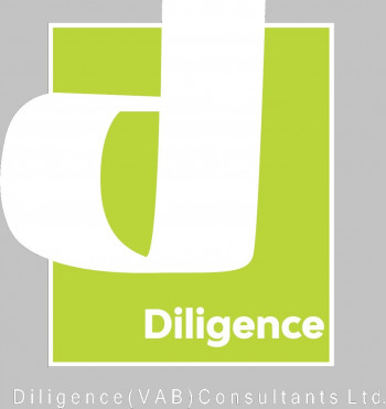 Diligence ( VAB ) Consultants Ltd